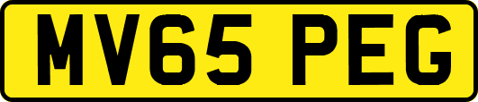 MV65PEG