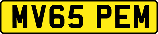 MV65PEM