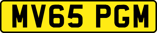 MV65PGM