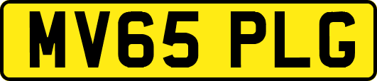 MV65PLG