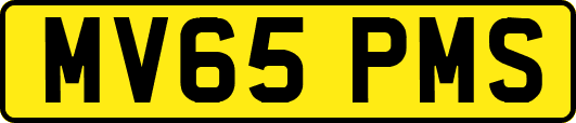 MV65PMS