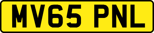 MV65PNL