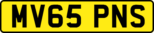 MV65PNS