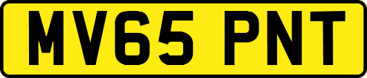 MV65PNT