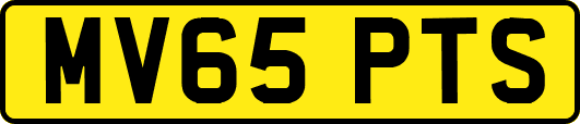 MV65PTS