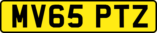 MV65PTZ