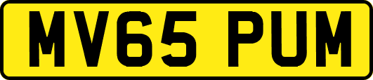 MV65PUM