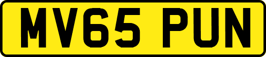 MV65PUN