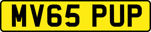 MV65PUP
