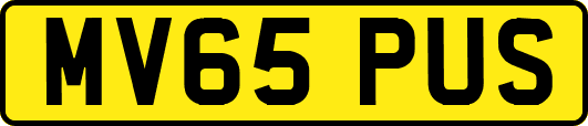 MV65PUS