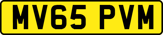 MV65PVM