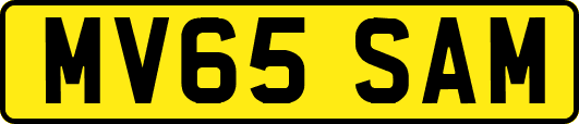 MV65SAM