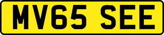 MV65SEE