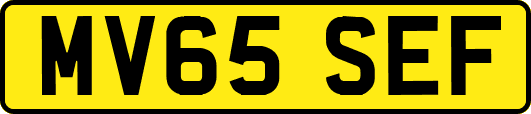 MV65SEF