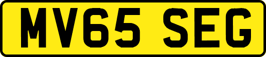 MV65SEG