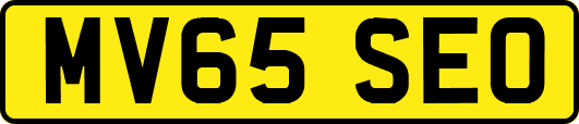 MV65SEO