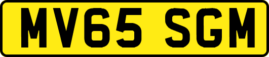 MV65SGM