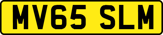 MV65SLM