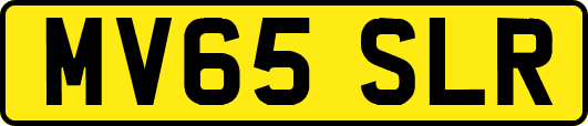 MV65SLR
