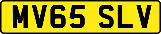 MV65SLV