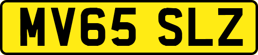 MV65SLZ