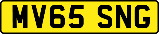 MV65SNG