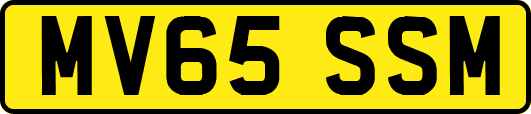 MV65SSM