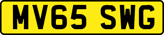 MV65SWG