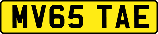 MV65TAE