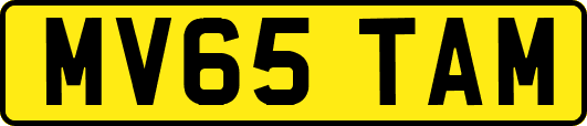 MV65TAM