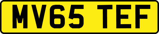 MV65TEF