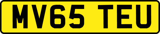 MV65TEU