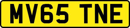 MV65TNE