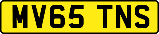 MV65TNS