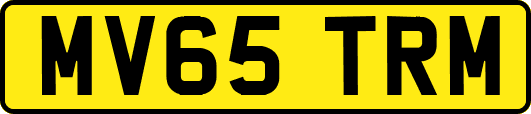MV65TRM