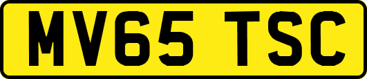 MV65TSC