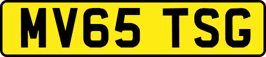 MV65TSG
