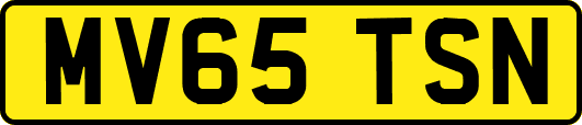 MV65TSN