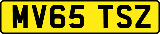 MV65TSZ