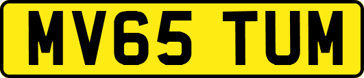 MV65TUM