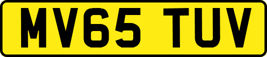 MV65TUV