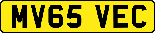 MV65VEC