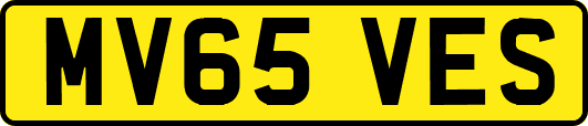 MV65VES