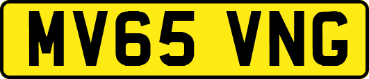 MV65VNG