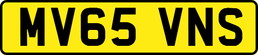 MV65VNS