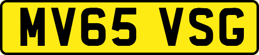 MV65VSG