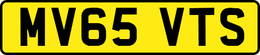 MV65VTS