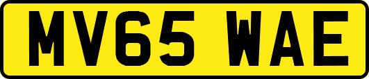 MV65WAE