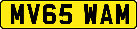 MV65WAM