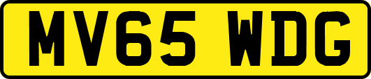 MV65WDG